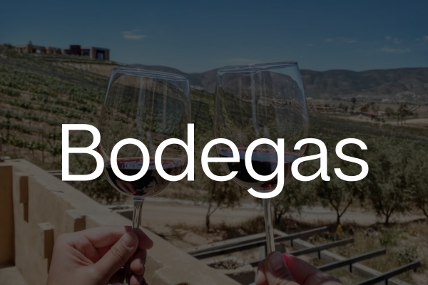 Bodegas para visitar y degustar vinos